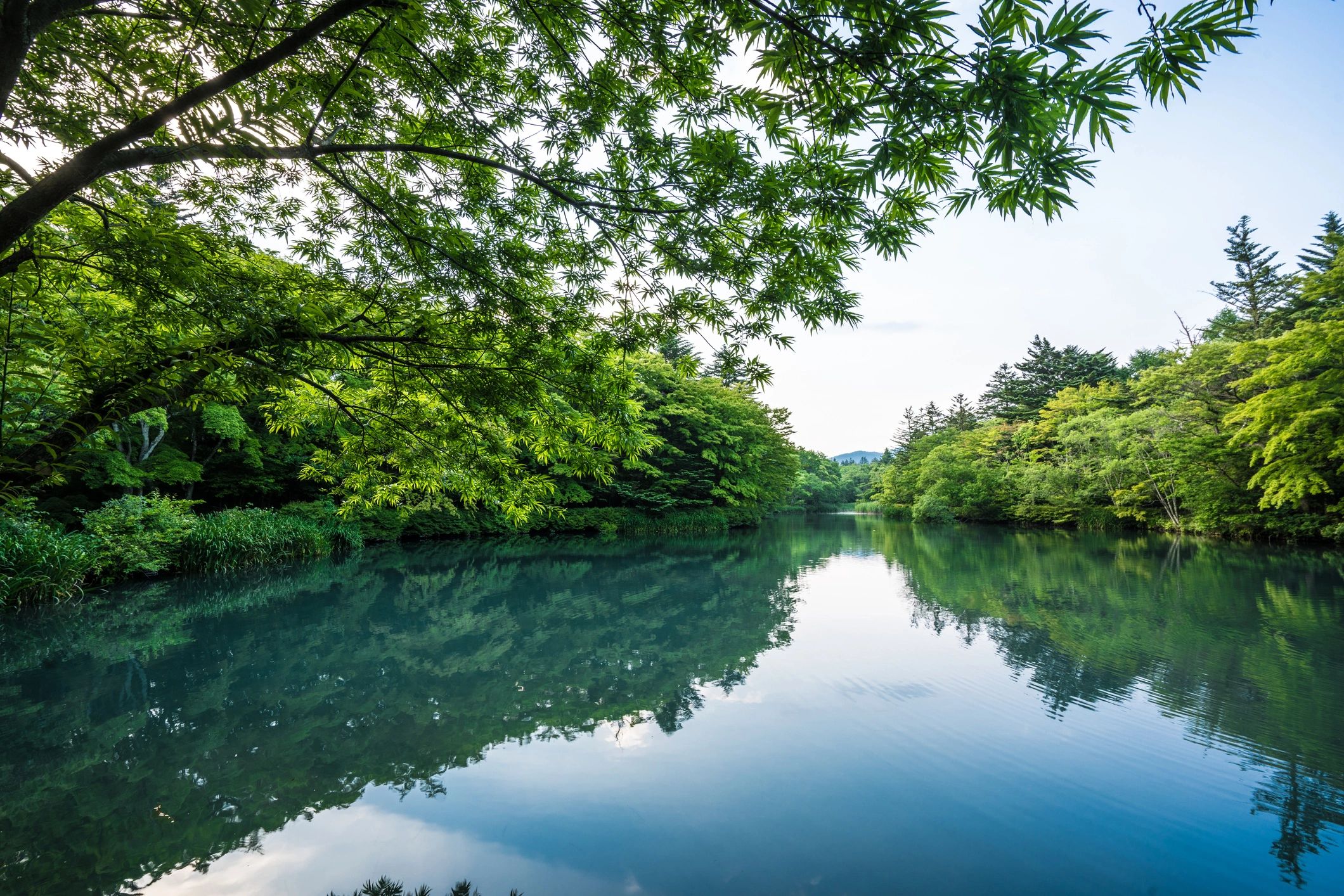 Karuizawa landscape