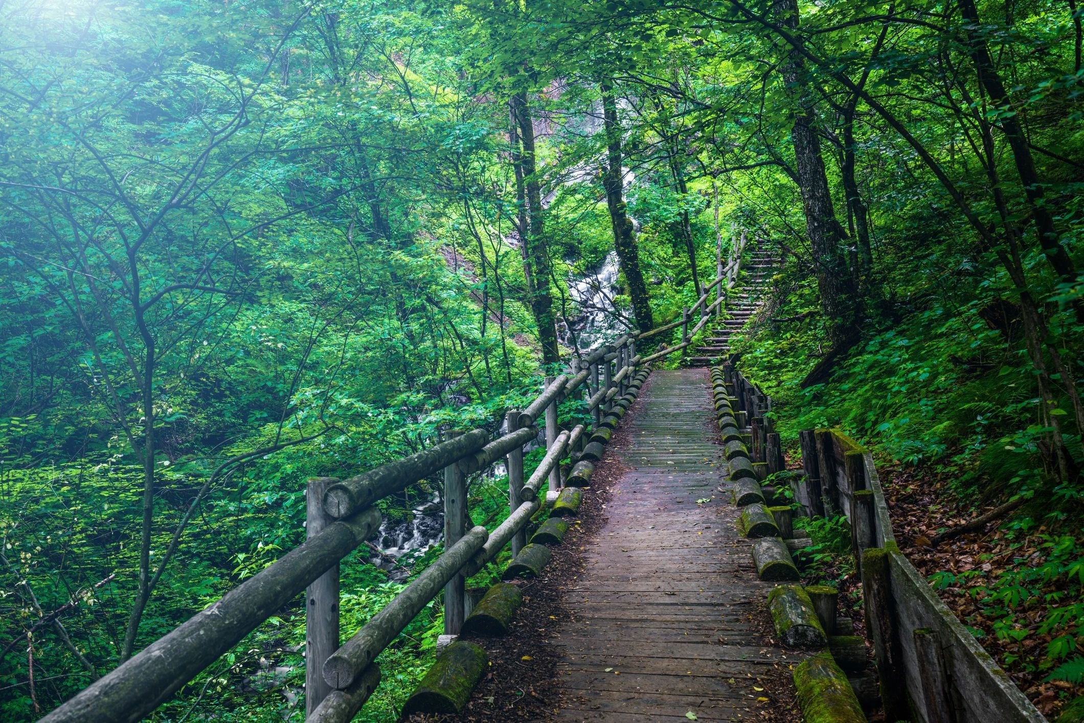 Reflective traveler in Japanese mountains.