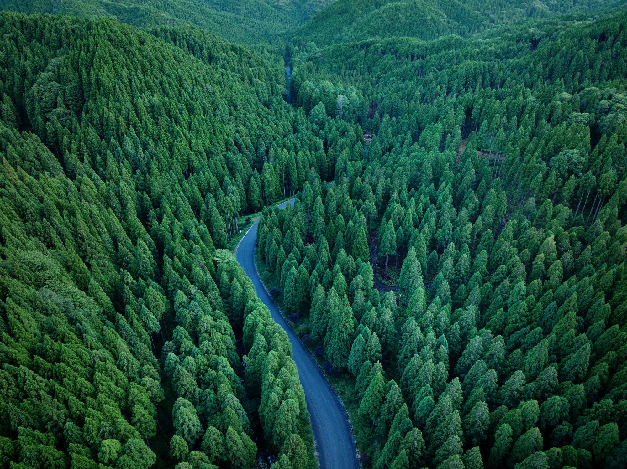 Karuizawa mountain forest retreat.